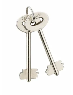 Coffret de sécurité à poser Sedan, fermeture par clé, 2 pênes, 15L - THIRARD