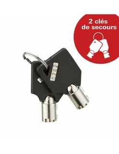 Coffret de sécurité pour laptotp Vincennes, fermeture électronique à code, 2 pênes, 13.7L - THIRARD