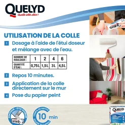 Colle en poudre - adaptée pour tout papiers peints intissés - surface de couverture 32 m² - Quelyd 30621359
