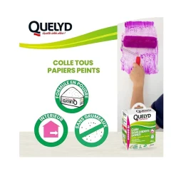 Colle en poudre pour tous papiers peints Quelyd 150g