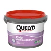 Colle Quelyd pour Dalles de plafond Pâte 7 kg