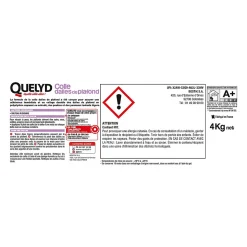 Colle Quelyd pour Dalles de plafond Pâte 4 kg