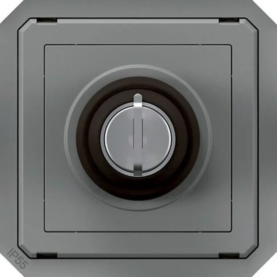 Commande à clé - Plexo - Legrand