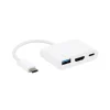 Convertisseur USB C mâle vers USB A / HDMI A / USB C femelle