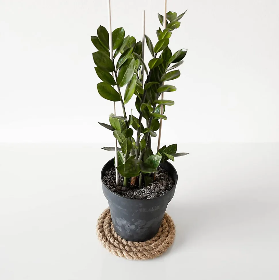 Creative Deco 15m Corde de Jute Epaisseur 24mm - Personnalisation Possible Tous les 5m - Durable - Torsadé en Fibres Naturelles