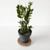 Creative Deco 30m Corde de Jute Epaisseur 20mm - Personnalisation Possible Tous les 5m - Corde Solide - Torsadé Fibres Naturelles