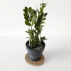 Creative Deco 35m Corde de Jute Epaisseur 24mm - Personnalisation Possible Tous les 5m - Durable - Torsadé en Fibres Naturelles