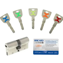 Cylindre débrayable Bricard Mistral 2 entrées 35x35 mm