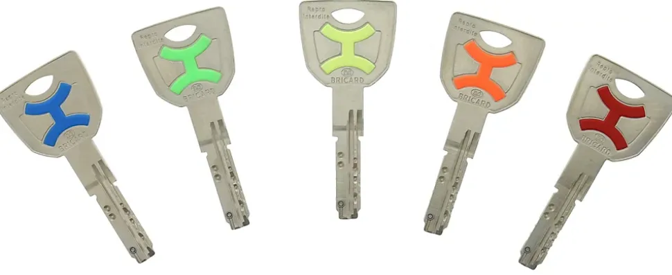 Cylindre débrayable Bricard mistral à 2 entrées 30x40 mm avec clés