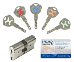 Cylindre débrayable Bricard Chifral x40 L.30x30 mm