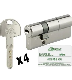 Cylindre de porte 30 x 60 mm debrayable avec 4 clés et carte de reproduction Barillet double entrée