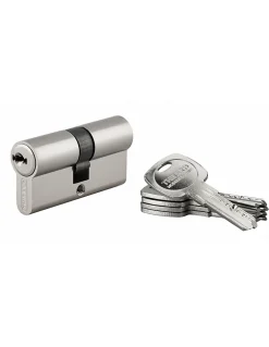 Cylindre de serrure double entrée Trafic 6, 30x30mm, nickel, anti-arrachement, anti-perçage, panneton réduit, 5 clés - THIRARD