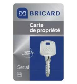 Cylindre serrure européen double entrée 30 x 40 mm debrayable 4 clés Serial S A2P 1 BRICARD