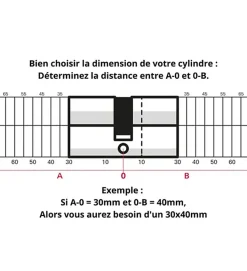 Cylindre serrure porte debrayable haute sécurité clés réversibles Carte propriété Trafic 6 Thirard Taille - 30x65mm