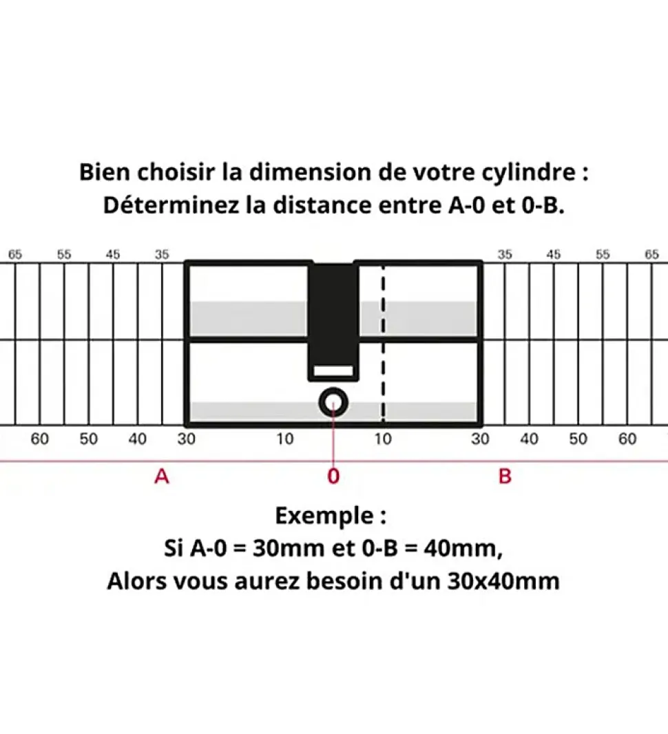 Cylindre serrure porte debrayable haute sécurité clés réversibles Carte propriété Trafic 6 Thirard Taille - 30x65mm