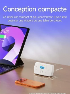 Detecteur de monoxyde de carbone avec alarme 85 dB et led rectangulaire L.12.5 x l.7.5 x H.2.8 cm - HEIMAN