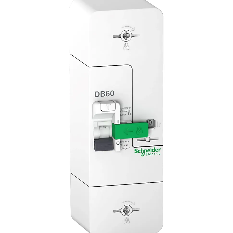 Disjoncteur branchement phase + neutre 60A fixe 500mA instantané Schneider Electric Resi9