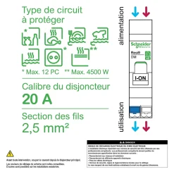 Disjoncteur embrochable courbe C phase + neutre 20A Schneider Electric Resi9 XE