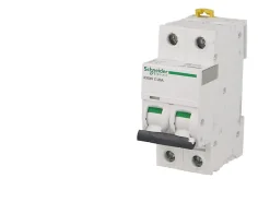 Disjoncteur modulaire bipolaire Schneider Acti9 iC60N 20A courbe D