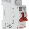 Disjoncteur PH+N 32A NF 4,5KA Thomson