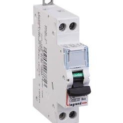 Disjoncteur vis / vis DNX3 4500 - départ - 4,5 kA - courbe C - 2 A - Legrand