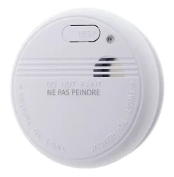 Détecteur de fumée NF pile et accessoires inclus - Otio