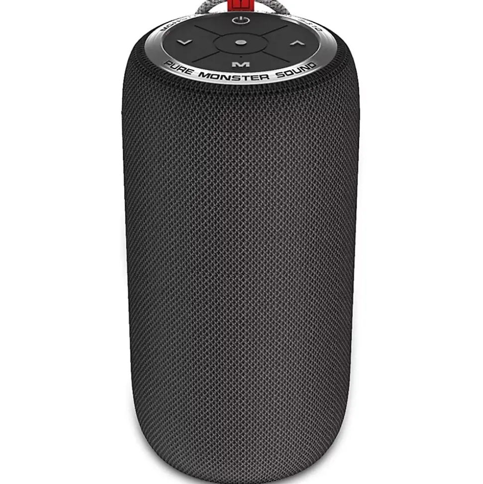 Enceinte connectée Pure Monster Sound S310