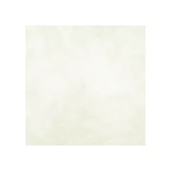 ENDUIT DE CUVELAGE PISCINE FINITION BETON CIRE - ARCACIM DECO Isatis Blanc - 8 m² - ARCANE INDUSTRIES
