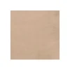 ENDUIT DE CUVELAGE PISCINE FINITION BETON CIRE - ARCACIM DECO Chinchilla Gris Beige - 16 m² - ARCANE INDUSTRIES
