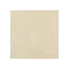 ENDUIT DE CUVELAGE PISCINE FINITION BETON CIRE - ARCACIM DECO Crème Ivoire - 16 m² - ARCANE INDUSTRIES