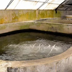 Enduit d'étanchéité Piscine Cuve Hors Sol - ARCACIM S2 AQUA. Gris Marron Proche - RAL 7013 - 20 kg - ARCANE INDUSTRIES