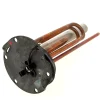 Ensemble resistance 2000w 060413 - chauffe-eau