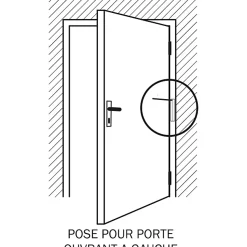 Ferme-porte à tige aluminium Diall 28cm