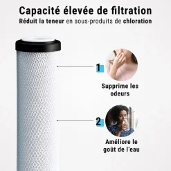 Filtre charbon actif en coquille de noix de coco 10'' ECOSOFT lot de 4