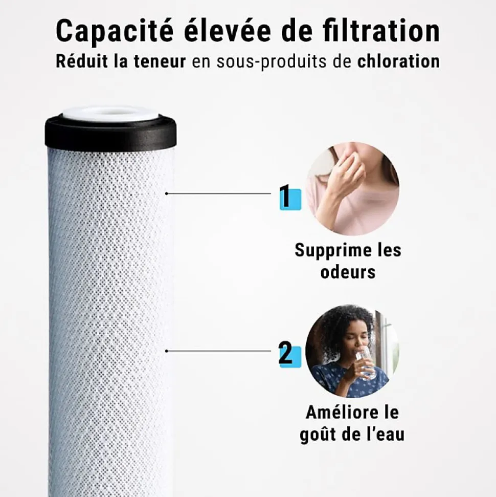 Filtre charbon actif en coquille de noix de coco 10'' ECOSOFT lot de 4