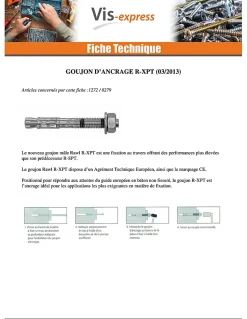 Goujon Ancrage R-XPT M12X220 Acier zingué - 50 pièces