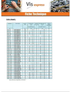Goujon Ancrage R-XPT M6X85 Acier zingué - 1 pièce