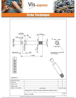 Goujon RACCORDEMENT Métaux 6X35 Acier zingué - 1 pièce