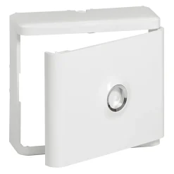 Habillage + porte pour platine de branchement Legrand DRIVIA