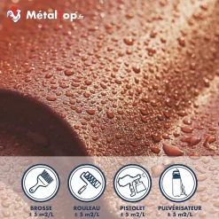 Hydrofuge Toiture - Metaltop - Incolore - Pot 5L