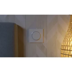 Interrupteur poussoir 10A à vis Schneider Electric Odace blanc