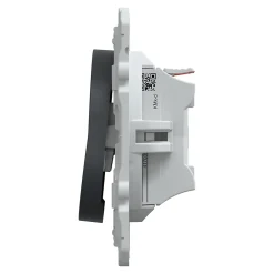 Interrupteur poussoir 10A Schneider Electric Ovalis anthracite