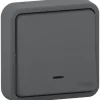 Interrupteur poussoir lumineux étanche complet encastré Schneider Electric Mureva Styl anthracite
