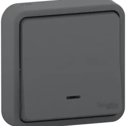 Interrupteur poussoir lumineux étanche complet encastré Schneider Electric Mureva Styl anthracite
