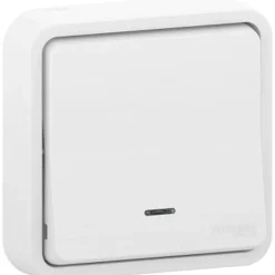 Interrupteur poussoir lumineux étanche complet encastré Schneider Electric Mureva Styl blanc