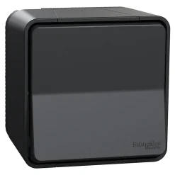 Interrupteur poussoir étanche complet saillie Schneider Electric Mureva Styl anthracite