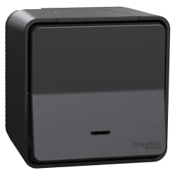 Interrupteur va-et-vient lumineux étanche complet saillie Schneider Electric Mureva Styl anthracite