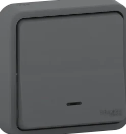 Interrupteur va-et-vient étanche complet encastré Schneider Electric Mureva Styl anthracite