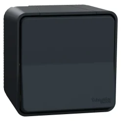 Interrupteur va-et-vient étanche complet saillie Schneider Electric Mureva Styl anthracite