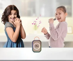 Karaoke Bluetooth Rose avec 2 micros sans fil